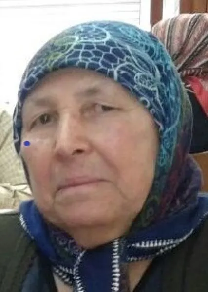 gezmen17893088909263_n.jpg