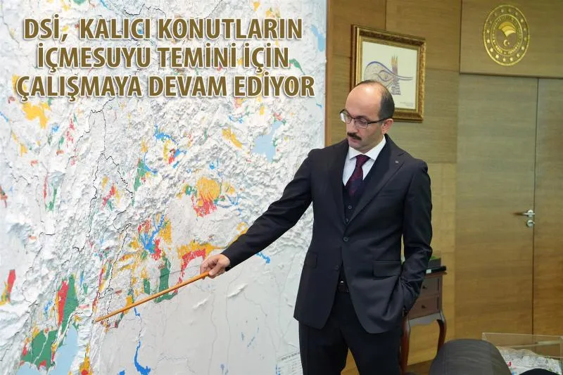 dsi1.jpg