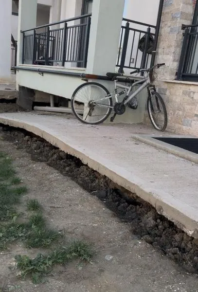 2789.jpg