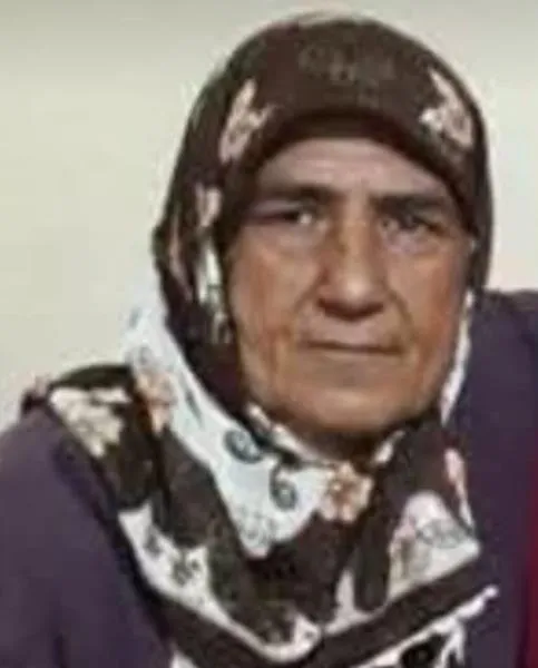 sarraç344.jpg