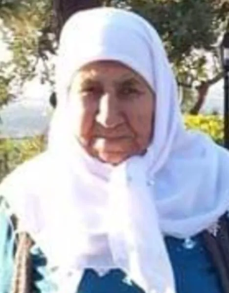 bolat903728_n.jpg
