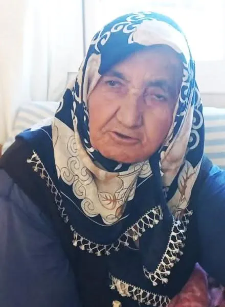 çakmak752614_n.jpg