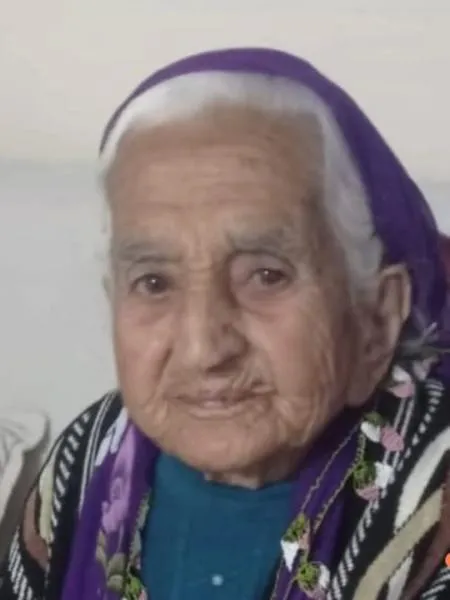 gülüm81255811_n.jpeg
