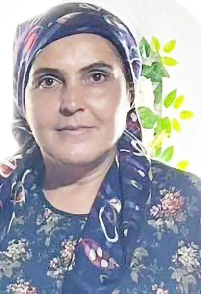akar936_n.jpg
