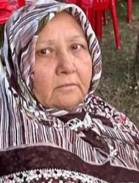 gökşül239011_n.jpg