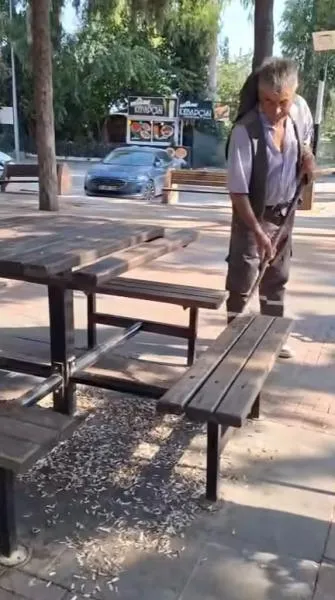 plıntısı.PNG