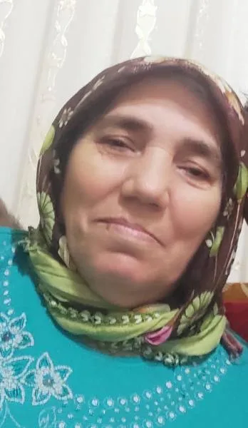 arı12552306_n.jpg