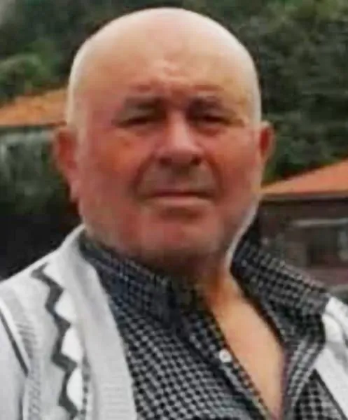 arı48995167183760376_n.jpg