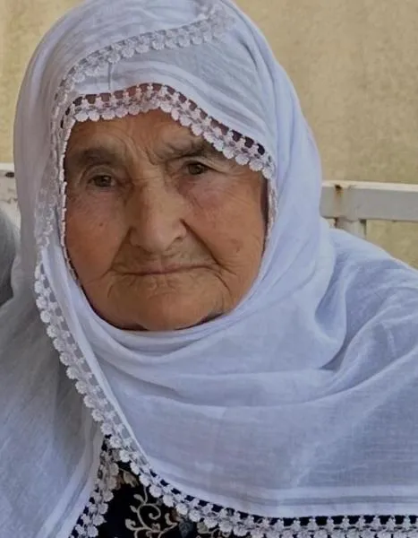gökçe38213635586428_n.jpg