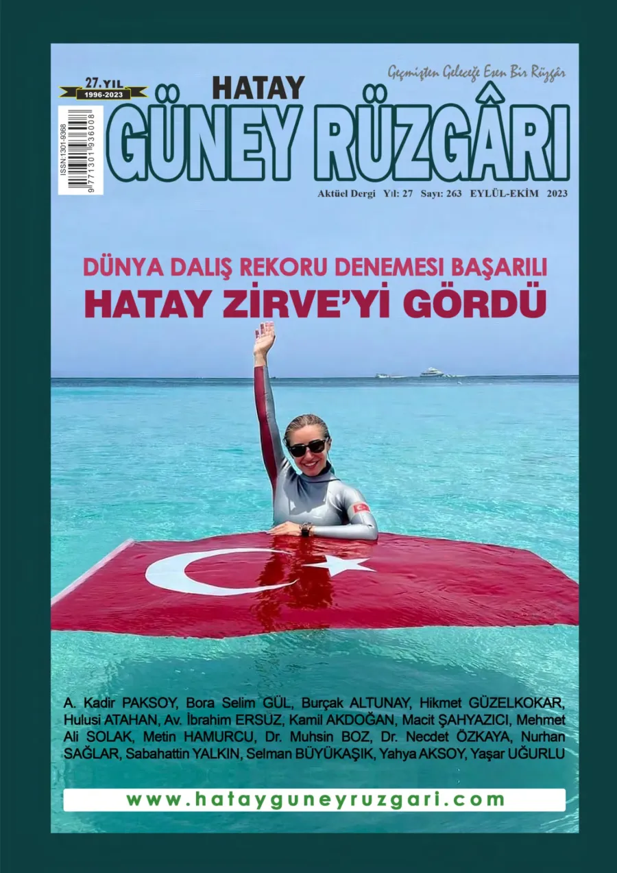 Sayı 263 kapak