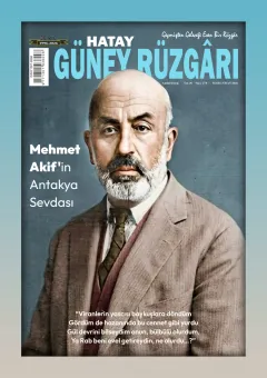 Sayı 278