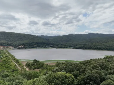 Hem ekmeklerini kazanıyor hem ormanı koruyorlar - fotoğraf 2