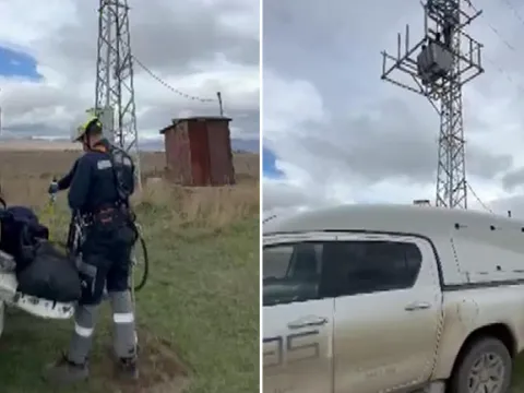 Mahalleli direkte asılı buldu: Direğe tırmanan yavru bozayı akımdan kurtulamadı - fotoğraf 3