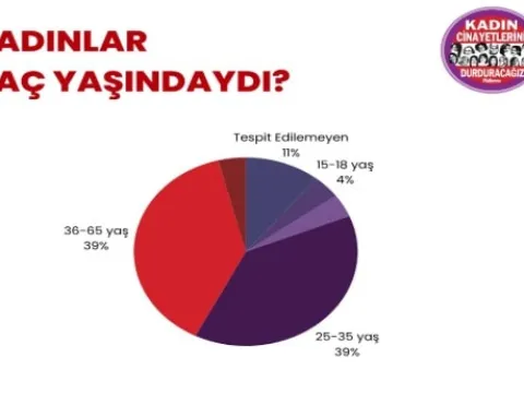 Kadın cinayetlerinde vahim tablo ortaya çıktı - fotoğraf 5
