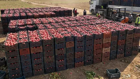 10 liraya alıp 90 liraya satıyorlar: Üretici perişan