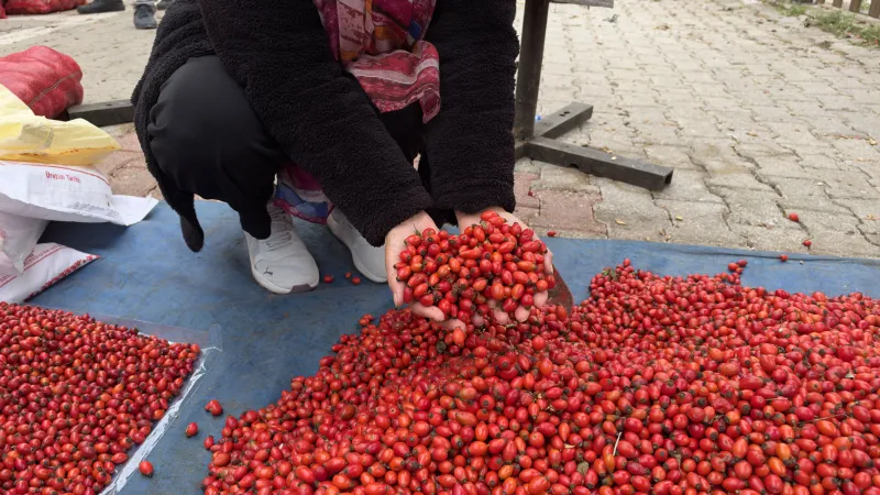 100 TL'den 50 TL'ye düştü. Demleyip içince hazımsızlığı gideriyor