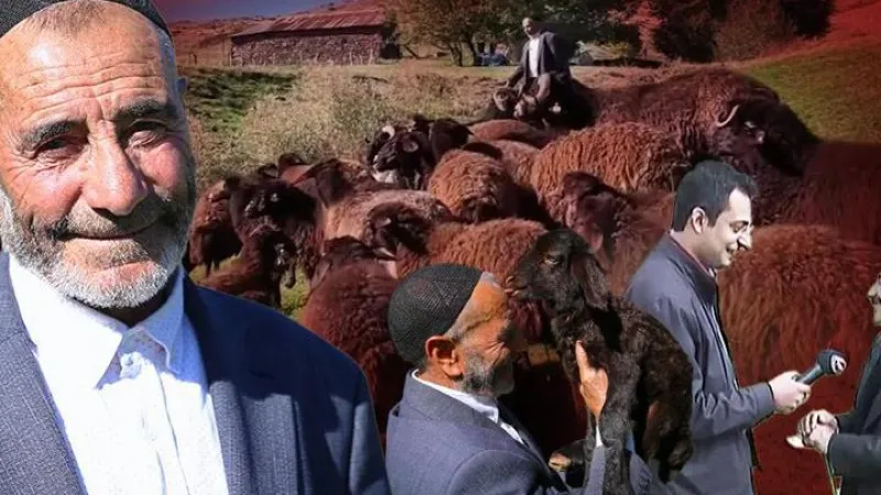 18 yıl sonra yine "koştu geldi" | "Yas yas yas gley" dedi ama koyunlar bu kez onu tanımadı