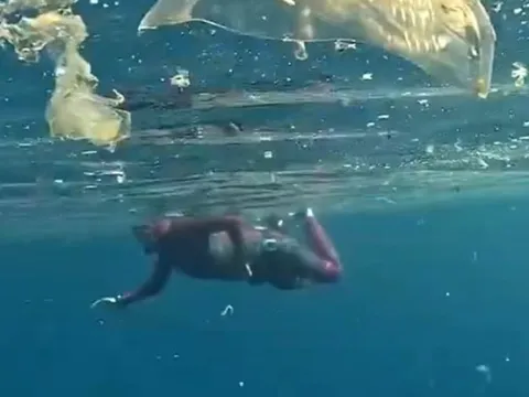 Antalya’da deniz içi plastik kirliliği havadan ve su altından görüntülendi! ‘Bu sularda yüzmeyin’ uyarısı - fotoğraf 4