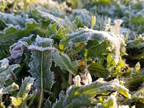 Kars'ta kış kendini hissettirmeye başladı - fotoğraf 2