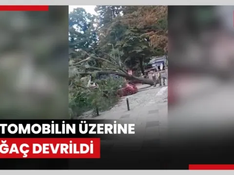 Bugün Ne Oldu? 2 Ekim 2026 haberleri - fotoğraf 1