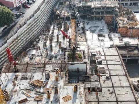 Yükselen yapıların ortasında tek başına: Tarihi tersanedeki asırlık ağaç havadan görüntülendi - fotoğraf 5