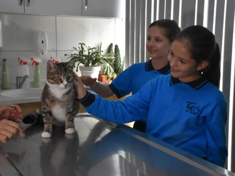 İzmir'de yürek ısıtan dayanışma: Harçlıklarını biriktirip yaralı kedi "Kurabiye"yi kurtardılar - fotoğraf 3