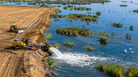 2 bin 800 dönümlük tarım arazisini sular altında bırakacaklar