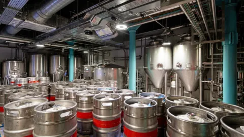 267 yıllık bira şirketi 1 Kasım'da fabrikasını kapatıyor