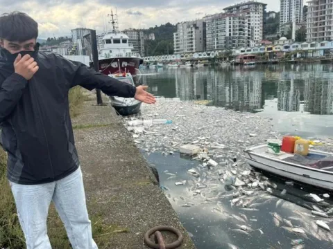 Palamut bollaştı, çöpe gitti - fotoğraf 2