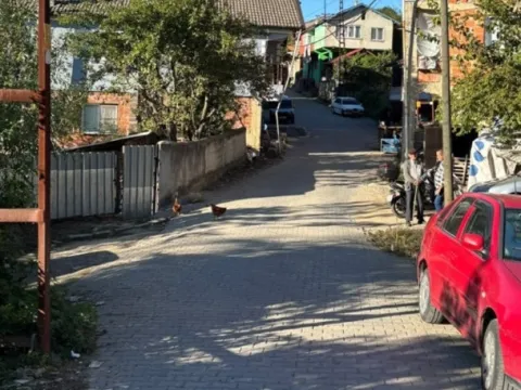 Bartın'da acı olay: Kestane toplamak için gittiği ormanda hayatını kaybetti - fotoğraf 3