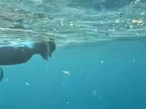 Antalya’da deniz içi plastik kirliliği havadan ve su altından görüntülendi! ‘Bu sularda yüzmeyin’ uyarısı - fotoğraf 5
