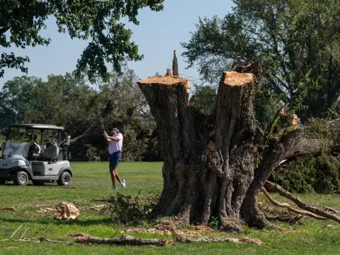 Trump yönetiminin golf sahasında yaptığı ağaç kesimine yargı freni - fotoğraf 1