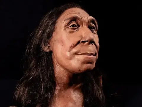 Neandertallerin yaşamında şiddet ne kadar yaygındı? - fotoğraf 6