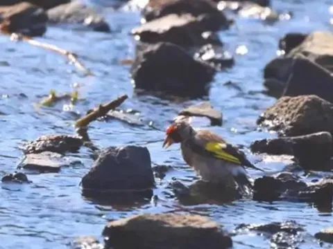 DOKUNAN YANDI! Cezası 1 milyon 410 bin1 milyon 410 bin TL - fotoğraf 1