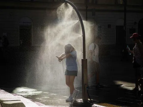 Yılda 33 bin ağaç dikmeliler - fotoğraf 2