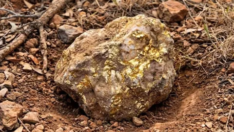 4,5 kiloluk kayanın içinden 2,5 kilo altın çıktı