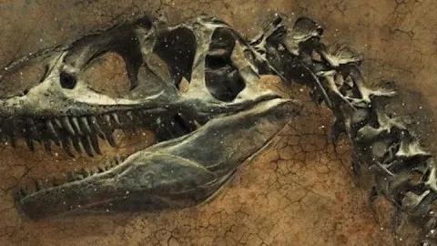 67 milyon yıllık dinozor iskeleti 47,3 milyon dolara satıldı
