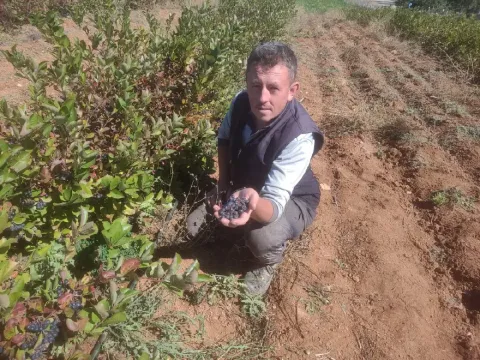 Süper meyve toprakla buluştu, şifa dağıtıyor. Antioksidan değeri yüksek - fotoğraf 1