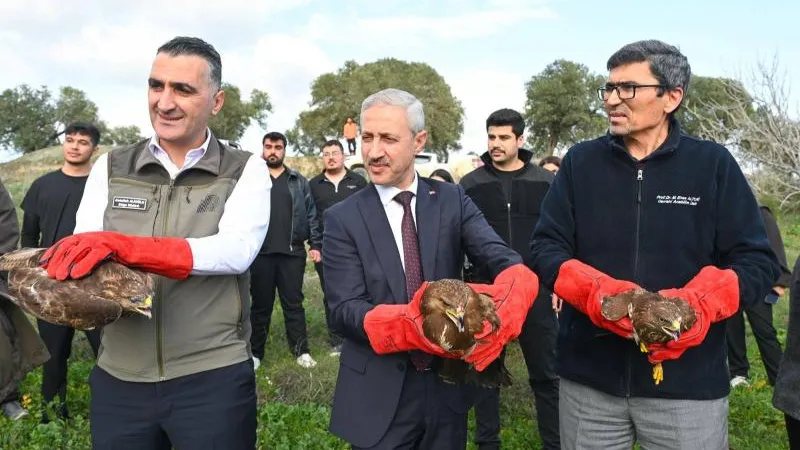 7 YIRTICI KUŞ YENİDEN DOĞADA