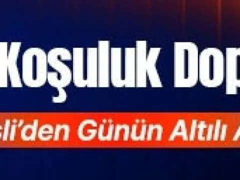 İstanbul’da 10 Koşuluk Dopdolu Program! İşte Misli’den Günün Altılı Analizi… - fotoğraf 3