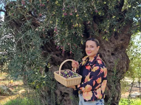 Bir adedi bile çok kıymetli! 1200 yıllık ağacın mahsülüne talep çok - fotoğraf 2