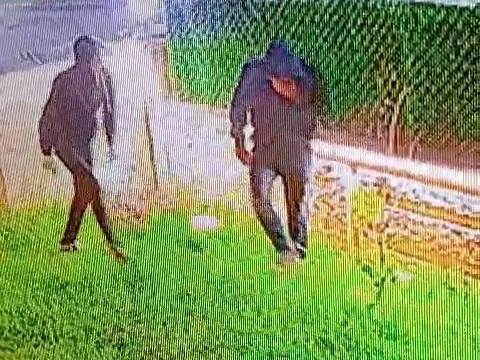 Sakarya’da evden 500 bin TL ve cip çalan 3 şüpheli yakalandı - fotoğraf 1