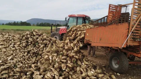 952 milyon liralık avans ödemesi hesaplara yatırıldı
