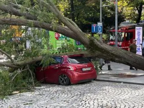 İSTANBUL BARAJLARI DOLULUK ORANI 2 EKİM: İstanbul barajları doldu mu? Ömerli, Darlık, Elmalı barajları doluluk oranı yüzde kaç? - fotoğraf 1