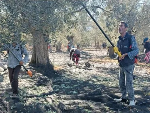Yöneticiliği bıraktı, ilçesini üretim üssüne çevirdi! Şimdi dünyanın dört bir yanına satış yapıyor - fotoğraf 4