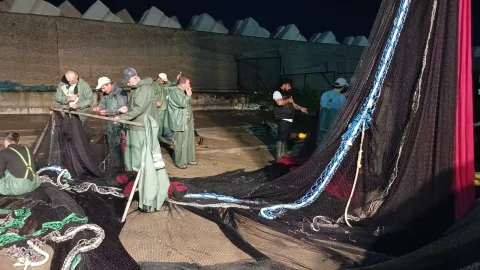 Ağlar bile palamuda dayanamadı. Akşam karanlığında tamir ettiler