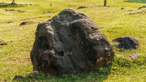 Ahır kapısını tutmak için kullanılan taş servet değerinde çıktı