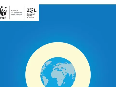 WWF’in 2026 Yaşayan Gezegen Raporu açıklandı - fotoğraf 1