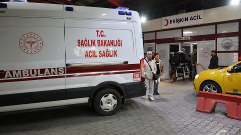 Ailesiyle sahilde otururken saldırıya uğradı: Kulağının bir parçası koptu