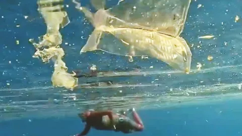 Akdeniz’de plastik kirliliği